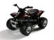 Kinsfun Smart ATV квадроцикл черный KS3506WBL фото 1